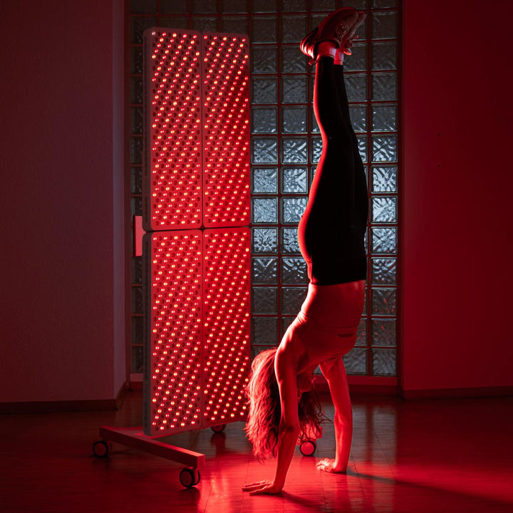 heilys® FullBody Max